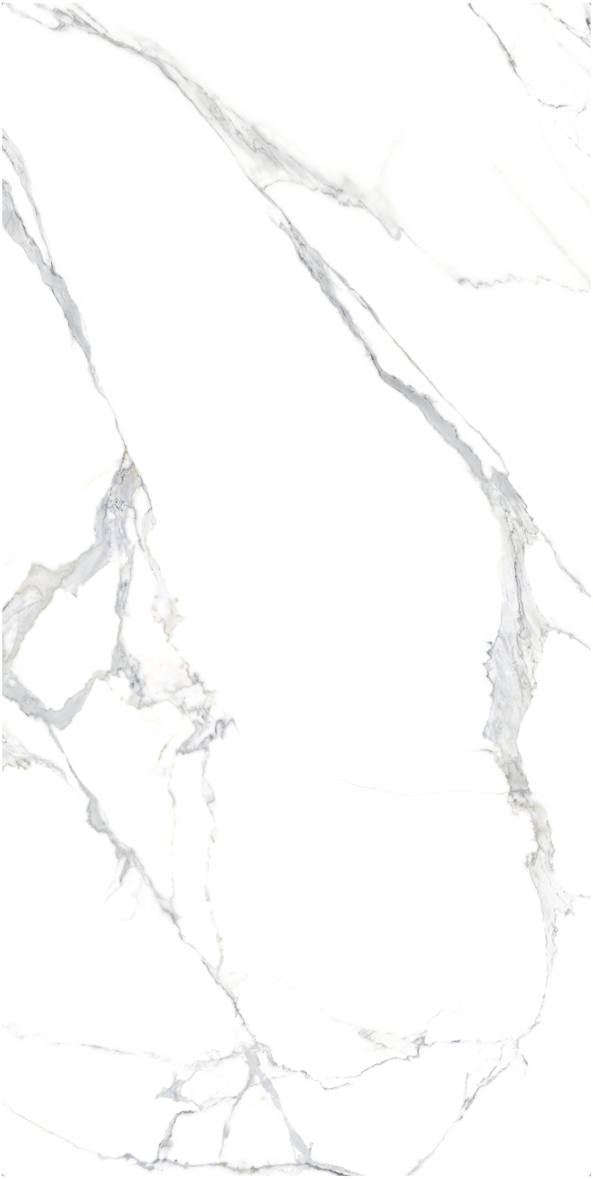 Ava ceramica Marmi Statuario Splendente Farfalla A 120x240 cm